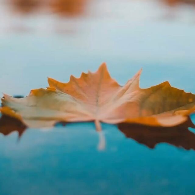 🍂 Schönes Wochenende euch allen! 🍁 Genießt die herbstliche Stimmung mit einer warmen Tasse Tee oder Kaffee. Die bunten Blätter und die frische Luft – der Herbst ist einfach magisch! 🍃✨ #Wochenende #Herbstzauber #reisenberg #planbsnackbar